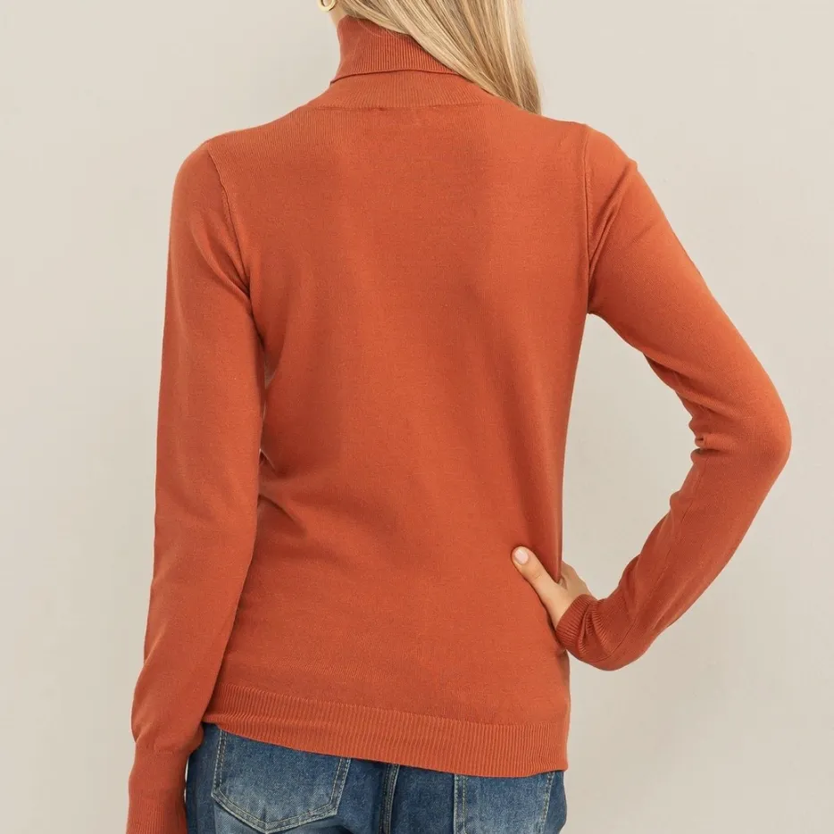 Chic Position Turtleneck Fitted Sweater Top