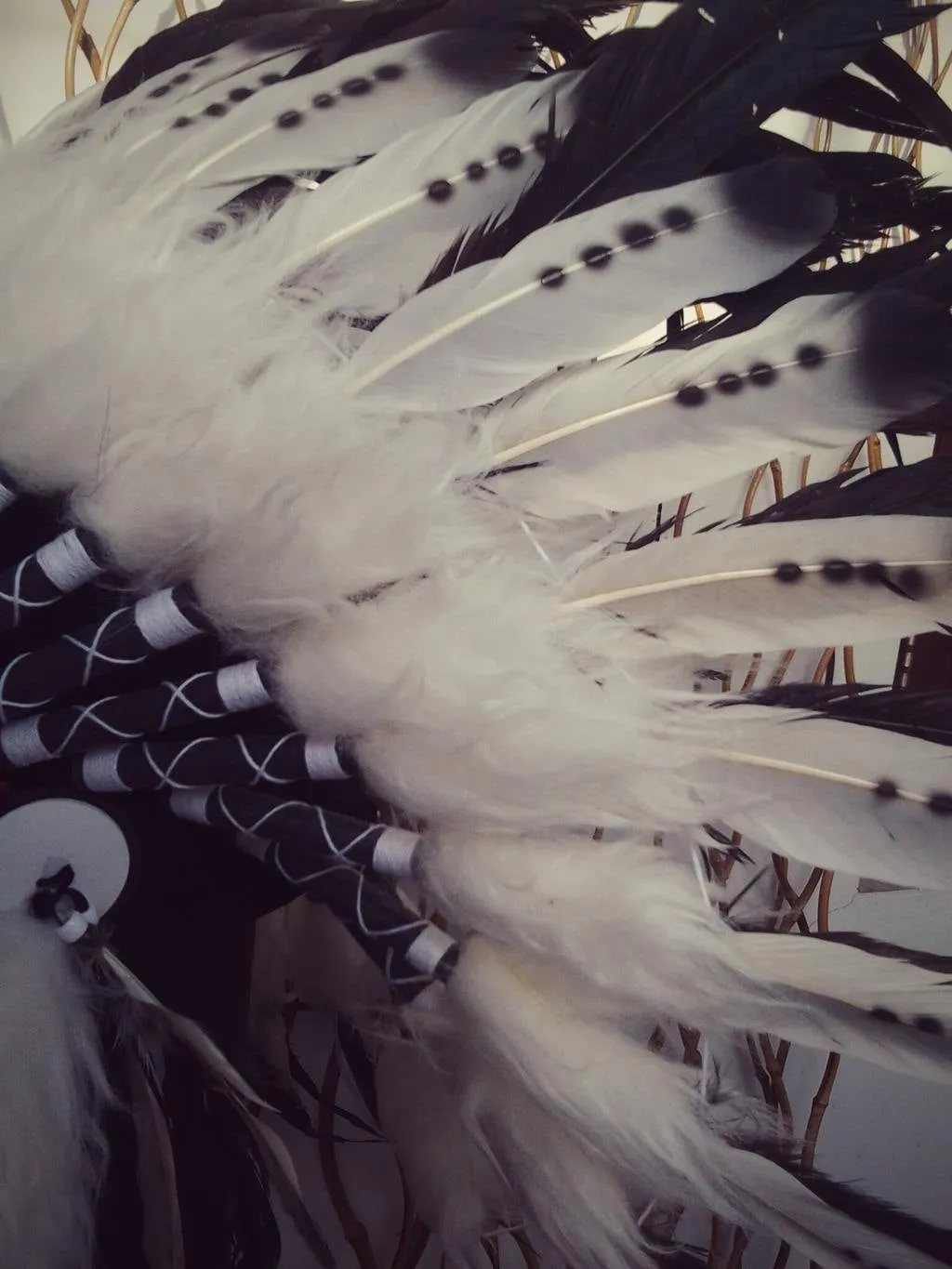 X12 Three colors black and white Indian Feather Headdress / warbonnet double feather (30 inch / 75 cm).